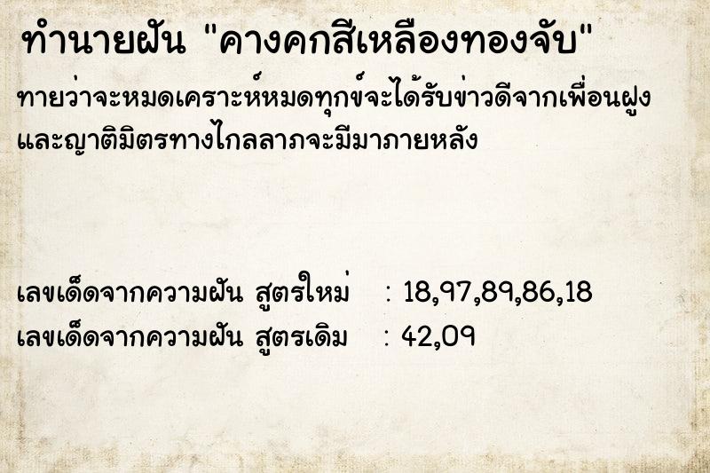 ทำนายฝันคางคกสีเหลืองทองจับ ทำนายฝันทำนายฝันคางคกสีเหลืองทองจับ