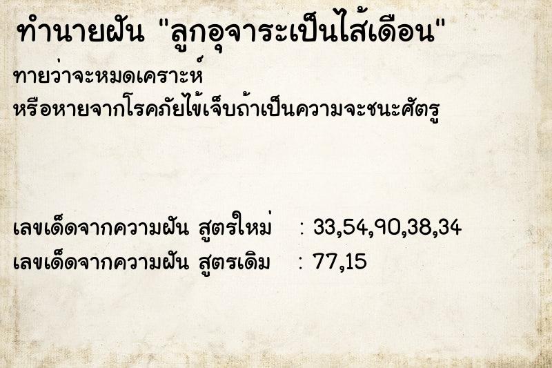 ทำนายฝัน ลูกอุจาระเป็นไส้เดือน ทำนายฝัน ลูกอุจาระเป็นไส้เดือน
