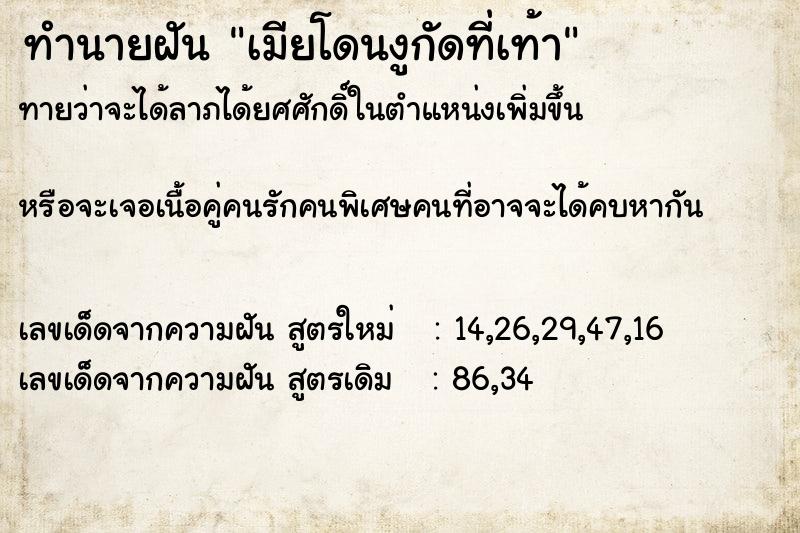 ทำนายฝัน เมียโดนงูกัดที่เท้า ทำนายฝัน เมียโดนงูกัดที่เท้า