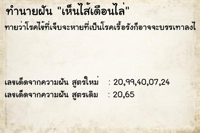 ทำนายฝันทำนายฝันเห็นไส้เดือนไล่