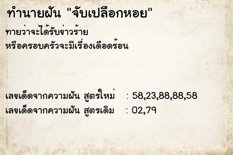 ทำนายฝันจับเปลือกหอย ทำนายฝันทำนายฝันจับเปลือกหอย