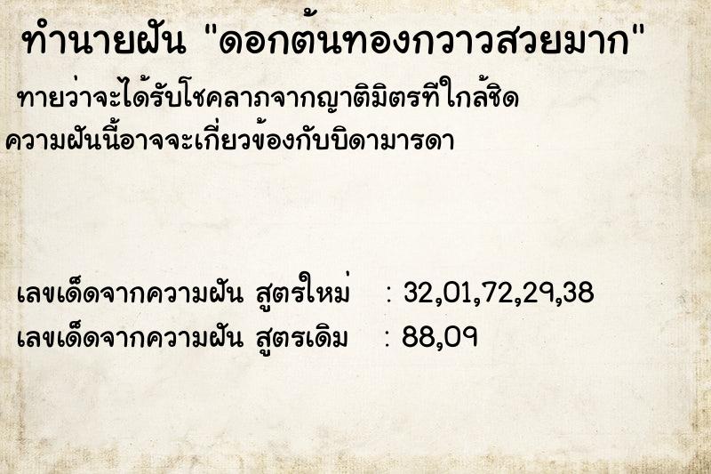 ทำนายฝัน ดอกต้นทองกวาวสวยมาก ทำนายฝัน ดอกต้นทองกวาวสวยมาก