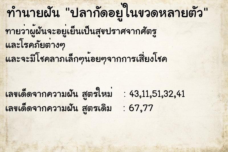 ทำนายฝัน ปลากัดอยู่ในขวดหลายตัว ทำนายฝัน ปลากัดอยู่ในขวดหลายตัว