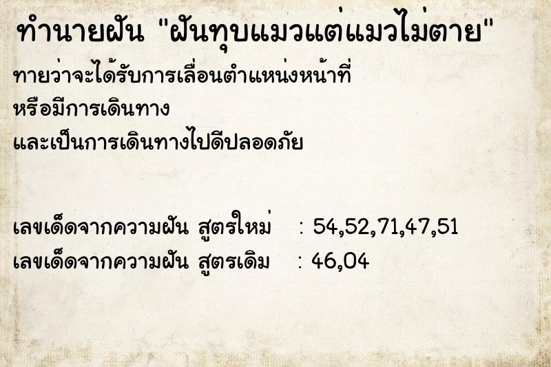 ทำนายฝันฝันทุบแมวแต่แมวไม่ตาย ทำนายฝันทำนายฝันฝันทุบแมวแต่แมวไม่ตาย