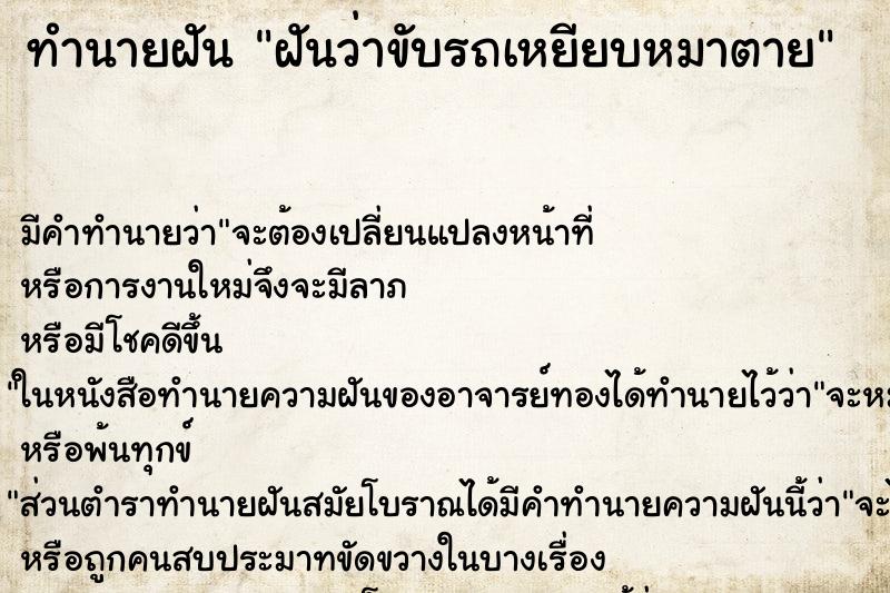 ทำนายฝัน ฝันว่าขับรถเหยียบหมาตาย ทำนายฝัน ฝันว่าขับรถเหยียบหมาตาย
