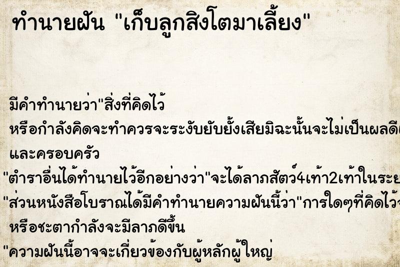 ทำนายฝัน เก็บลูกสิงโตมาเลี้ยง