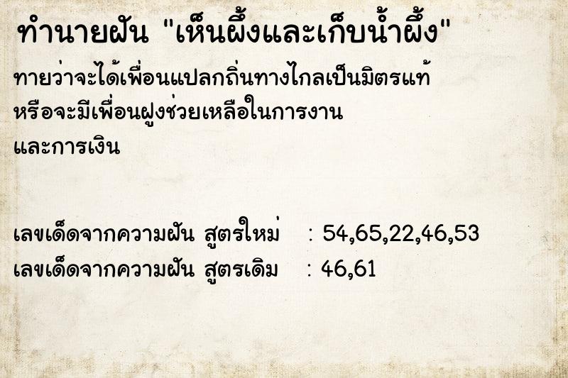 ทำนายฝันเห็นผึ้งและเก็บน้ำผึ้ง ทำนายฝันทำนายฝันเห็นผึ้งและเก็บน้ำผึ้ง