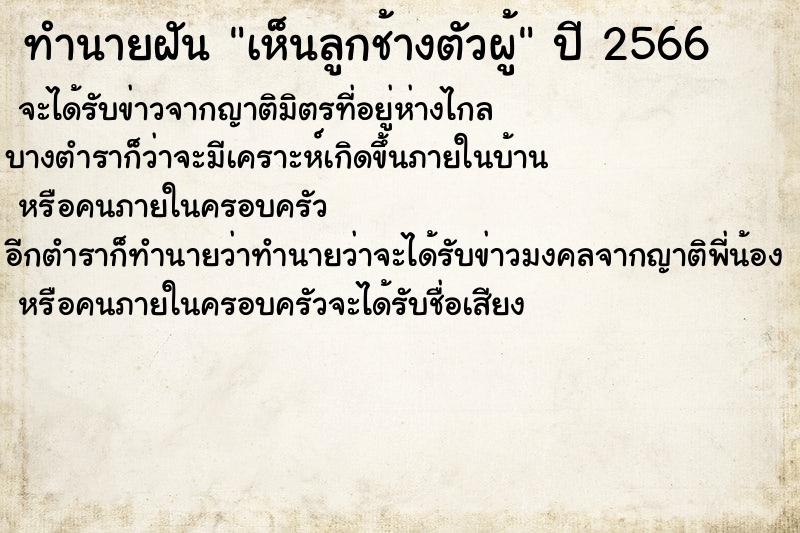 ทำนายฝันเห็นลูกช้างตัวผู้ ทำนายฝันทำนายฝันเห็นลูกช้างตัวผู้