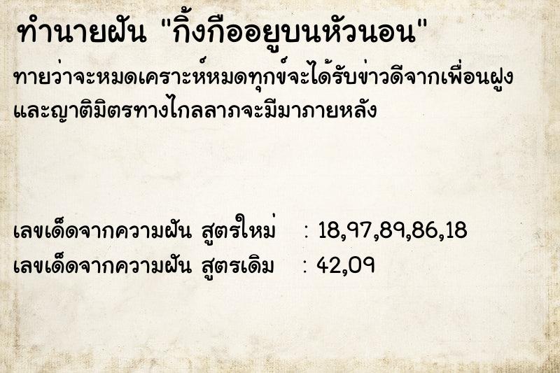 ทำนายฝัน กิ้งกืออยูบนหัวนอน