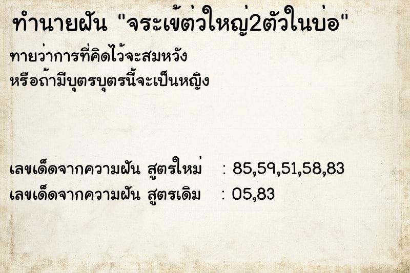 ทำนายฝันทำนายฝันจระเข้ต่วใหญ่2ตัวในบ่อ