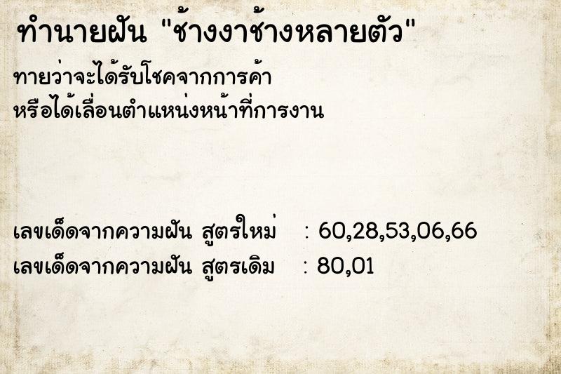 ทำนายฝันช้างงาช้างหลายตัว ทำนายฝันทำนายฝันช้างงาช้างหลายตัว