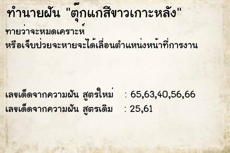 ทำนายฝันทำนายฝันตุ๊กแกสีขาวเกาะหลัง