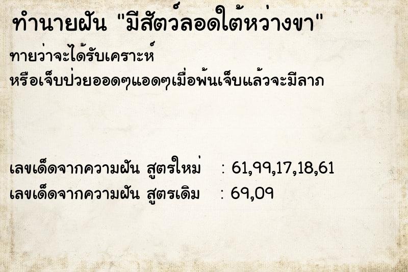 ทำนายฝัน มีสัตว์ลอดใต้หว่างขา ตำราโบราณ แม่นที่สุดในโลก