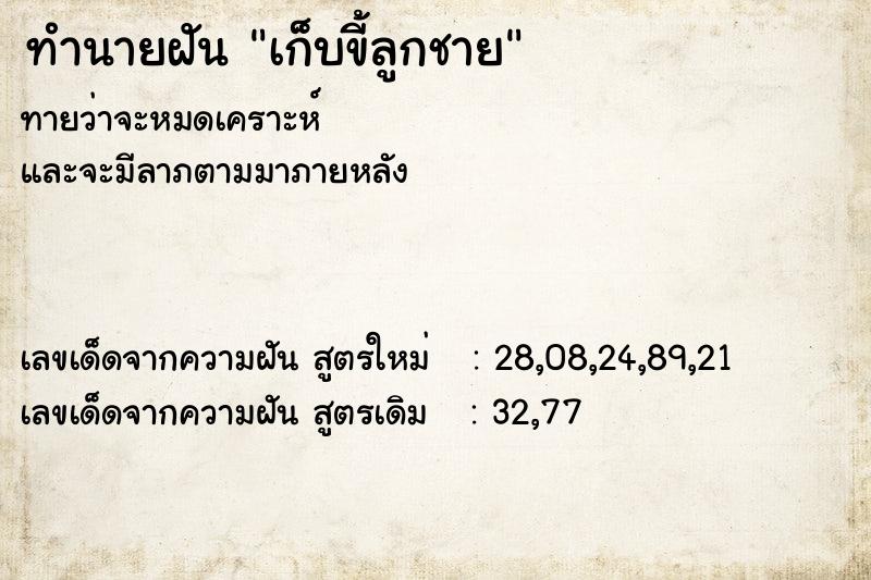ทำนายฝันเก็บขี้ลูกชาย ทำนายฝันทำนายฝันเก็บขี้ลูกชาย