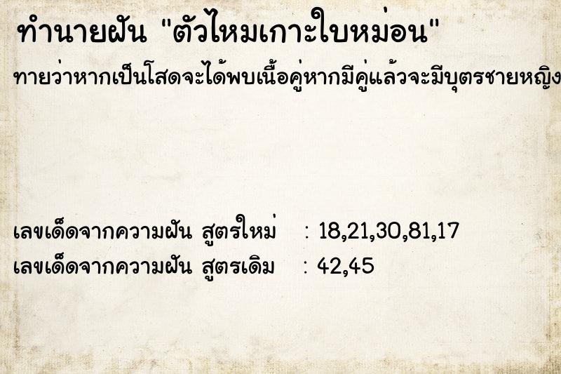 ทำนายฝันตัวไหมเกาะใบหม่อน ทำนายฝันทำนายฝันตัวไหมเกาะใบหม่อน