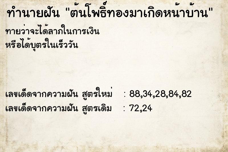 ทำนายฝันทำนายฝันต้นโพธิ์ทองมาเกิดหน้าบ้าน
