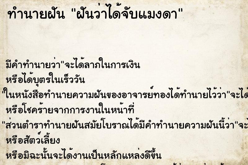ทำนายฝันฝันว่าได้จับแมงดา ทำนายฝันทำนายฝันฝันว่าได้จับแมงดา