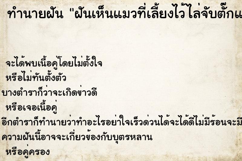 ทำนายฝันทำนายฝันฝันเห็นแมวที่เลี้ยงไว้ไล่จับตั๊กแตน