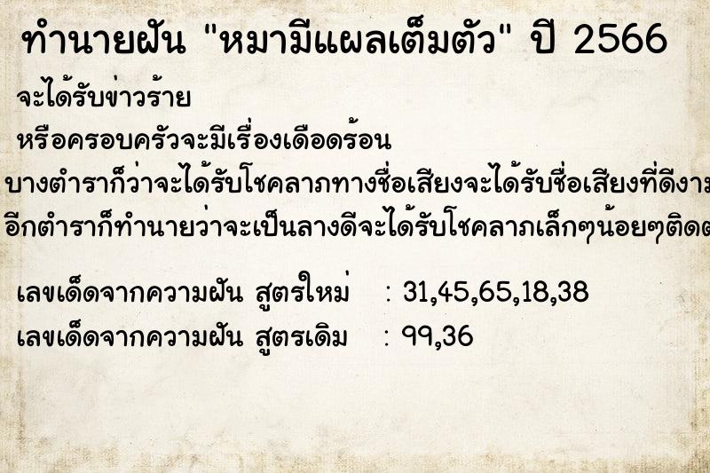 ทำนายฝันหมามีแผลเต็มตัว ทำนายฝันทำนายฝันหมามีแผลเต็มตัว