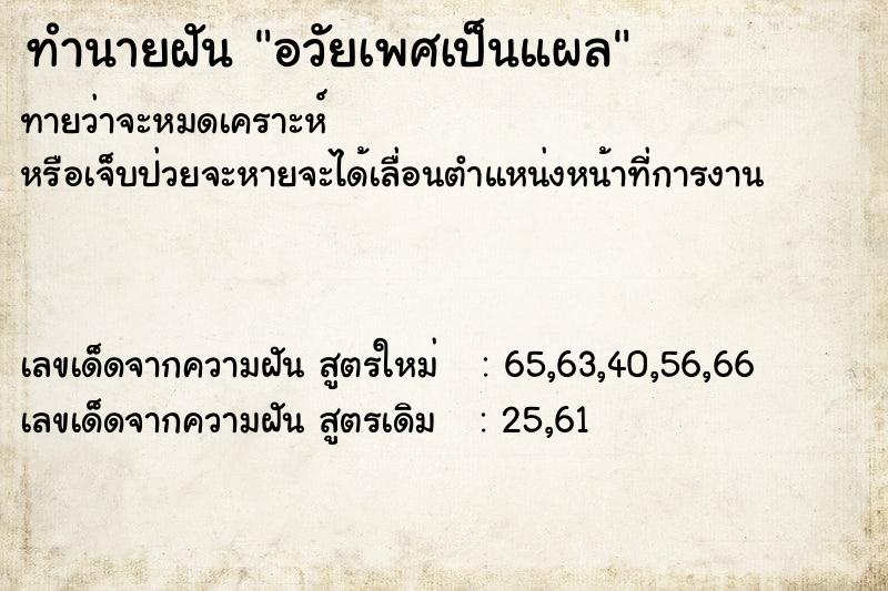 ทำนายฝันอวัยเพศเป็นแผล ทำนายฝันทำนายฝันอวัยเพศเป็นแผล