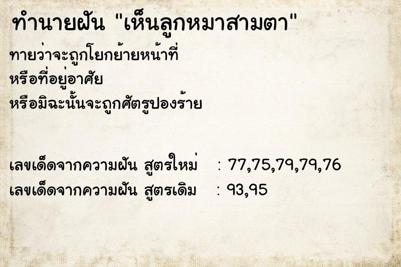 ทำนายฝัน เห็นลูกหมาสามตา ทำนายฝัน เห็นลูกหมาสามตา