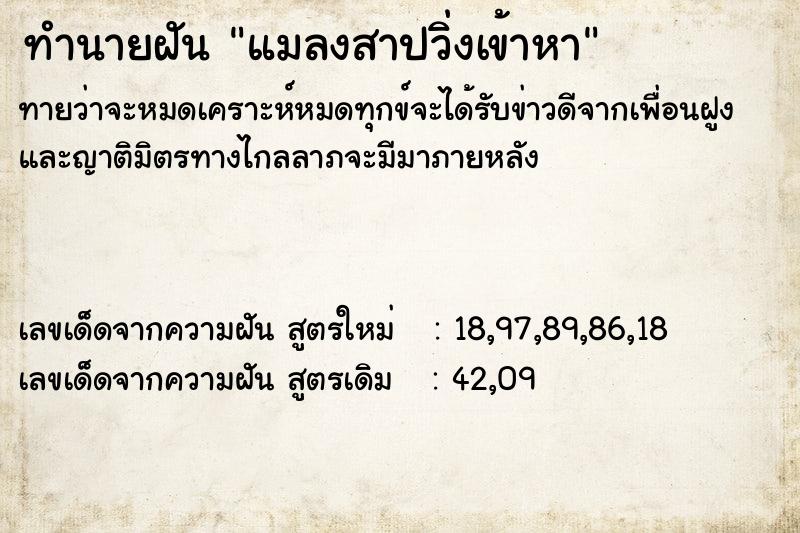 ทำนายฝันแมลงสาปวิ่งเข้าหา ทำนายฝันทำนายฝันแมลงสาปวิ่งเข้าหา