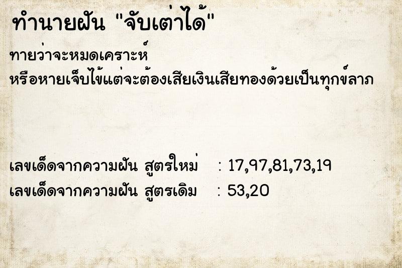 ทำนายฝันจับเต่าได้ ทำนายฝันทำนายฝันจับเต่าได้