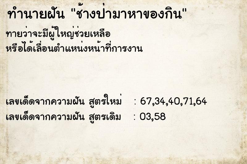 ทำนายฝัน ช้างป่ามาหาของกิน ทำนายฝัน ช้างป่ามาหาของกิน