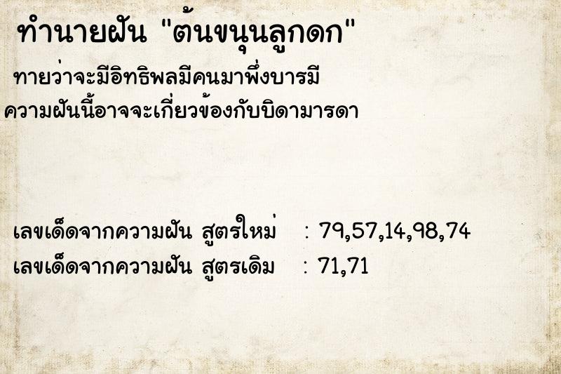 ทำนายฝันต้นขนุนลูกดก ทำนายฝันทำนายฝันต้นขนุนลูกดก