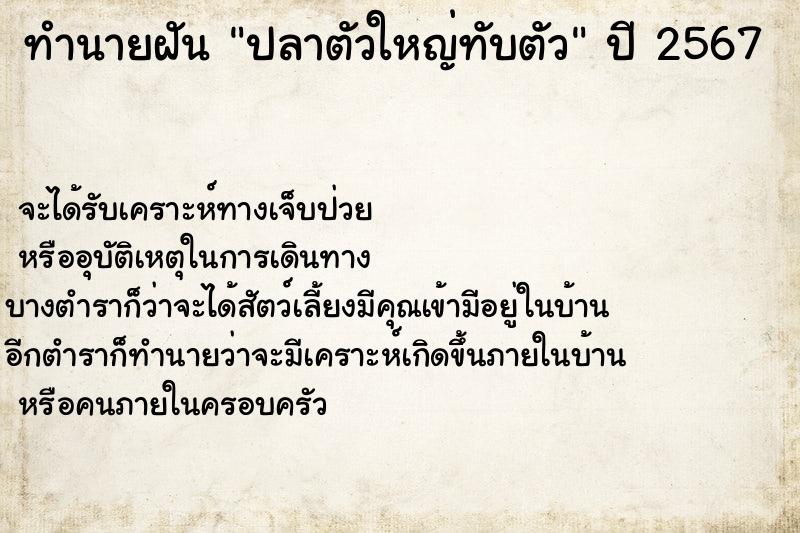 ทำนายฝันทำนายฝันปลาตัวใหญ่ทับตัว