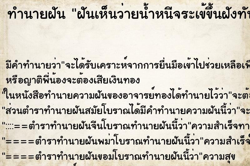 ทำนายฝัน ฝันเห็นว่ายน้ำหนีจระเข้ขึ้นฝังทัน ทำนายฝัน ฝันเห็นว่ายน้ำหนีจระเข้ขึ้นฝังทัน