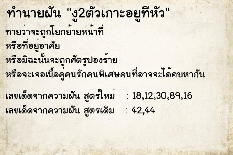 ทำนายฝันงู2ตัวเกาะอยูทีหัว ทำนายฝันทำนายฝันงู2ตัวเกาะอยูทีหัว