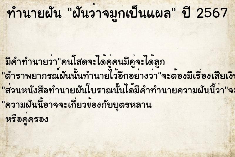 ทำนายฝันฝันว่าจมูกเป็นแผล ทำนายฝันทำนายฝันฝันว่าจมูกเป็นแผล