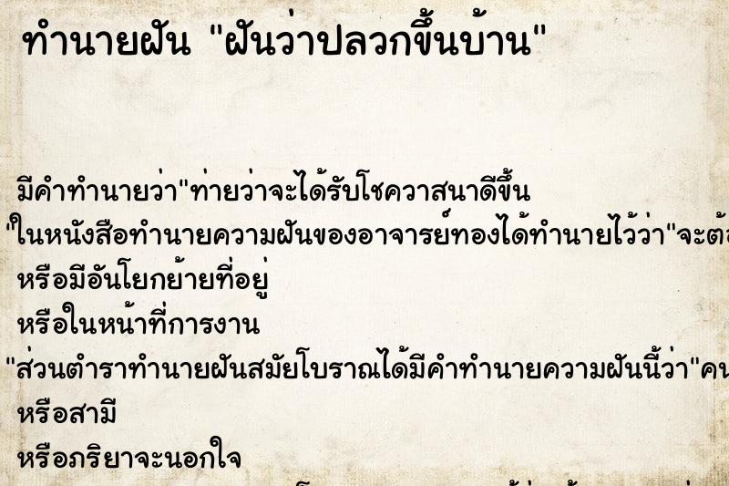 ทำนายฝัน ฝันว่าปลวกขึ้นบ้าน ทำนายฝัน ฝันว่าปลวกขึ้นบ้าน