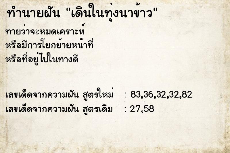 ทำนายฝัน เดินในทุ่งนาข้าว ตำราโบราณ แม่นที่สุดในโลก