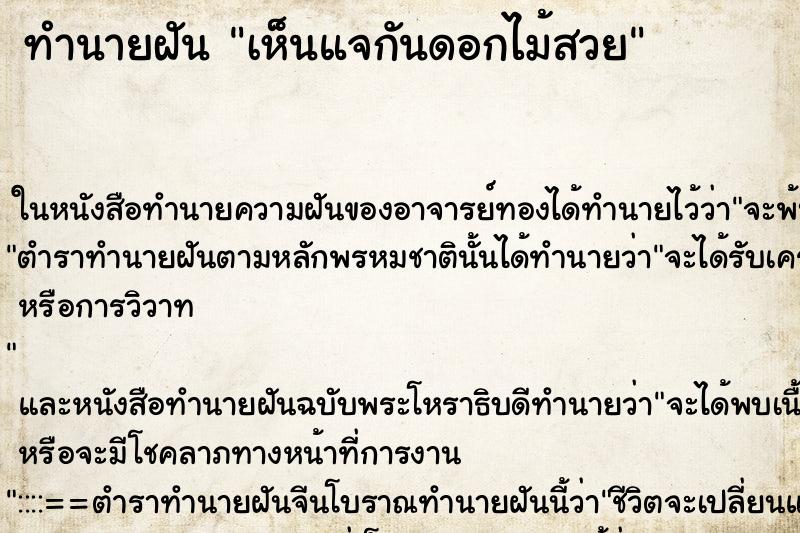 ทำนายฝันทำนายฝันเห็นแจกันดอกไม้สวย