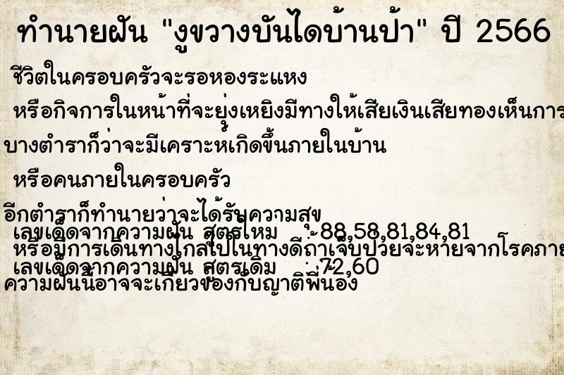 ทำนายฝัน งูขวางบันไดบ้านป้า ตำราโบราณ แม่นที่สุดในโลก