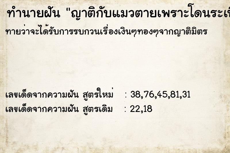 ทำนายฝันญาติกับแมวตายเพราะโดนระเบิด ทำนายฝันทำนายฝันญาติกับแมวตายเพราะโดนระเบิด