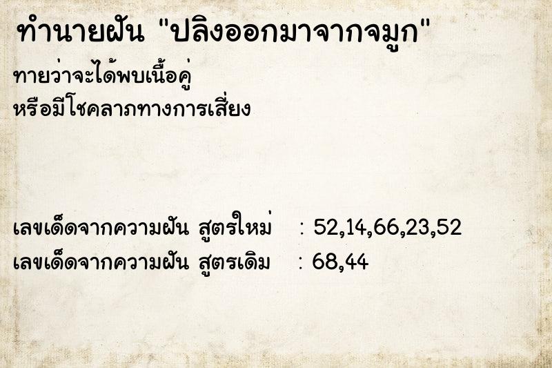 ทำนายฝันทำนายฝันปลิงออกมาจากจมูก