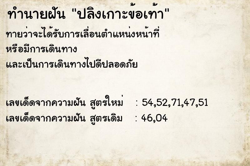 ทำนายฝันทำนายฝันปลิงเกาะข้อเท้า