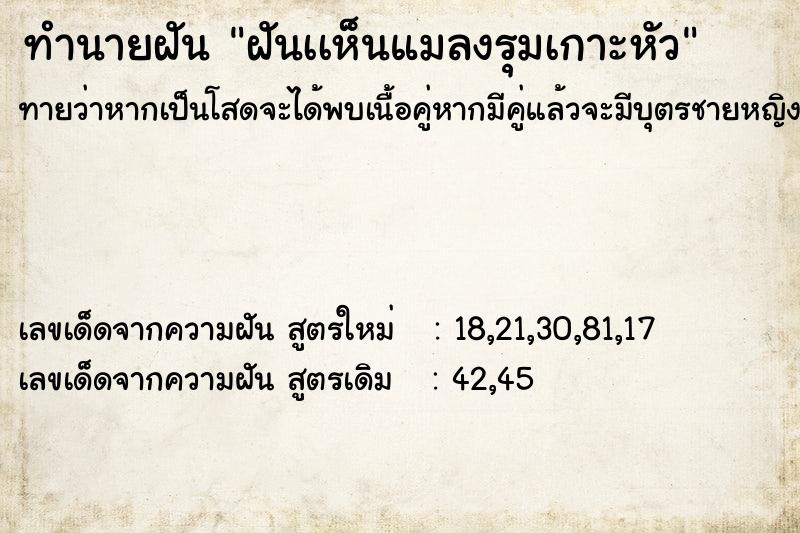 ทำนายฝันฝันเเห็นแมลงรุมเกาะหัว ทำนายฝันทำนายฝันฝันเเห็นแมลงรุมเกาะหัว