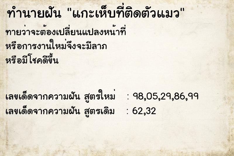 ทำนายฝันทำนายฝันแกะเห็บที่ติดตัวแมว