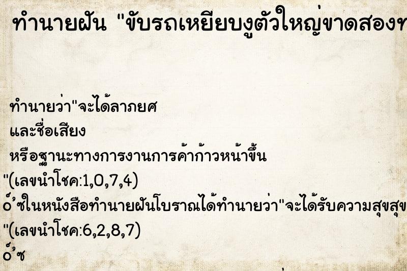 ทำนายฝัน ขับรถเหยียบงูตัวใหญ่ขาดสองท่อน