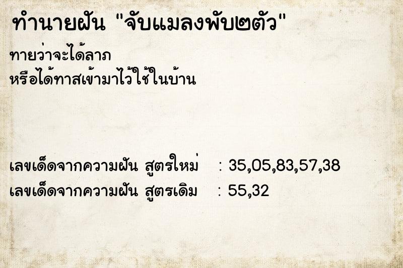 ทำนายฝัน จับแมลงพับ๒ตัว ทำนายฝัน จับแมลงพับ๒ตัว