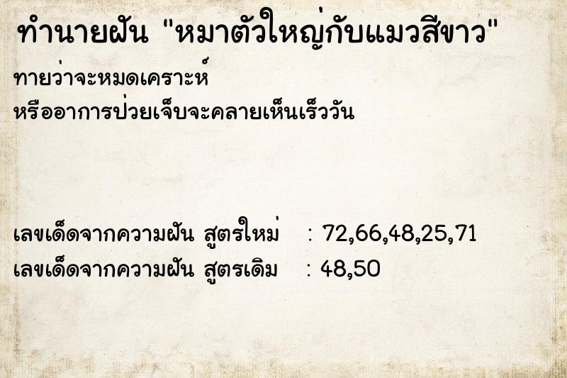 ทำนายฝันหมาตัวใหญ่กับแมวสีขาว ทำนายฝันทำนายฝันหมาตัวใหญ่กับแมวสีขาว