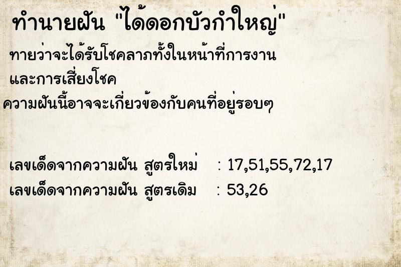 ทำนายฝัน ได้ดอกบัวกำใหญ่