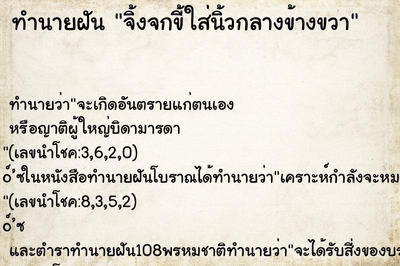 ทำนายฝันทำนายฝันจิ้งจกขี้ใส่นิ้วกลางข้างขวา
