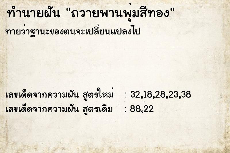 ทำนายฝันถวายพานพุ่มสีทอง ทำนายฝันทำนายฝันถวายพานพุ่มสีทอง