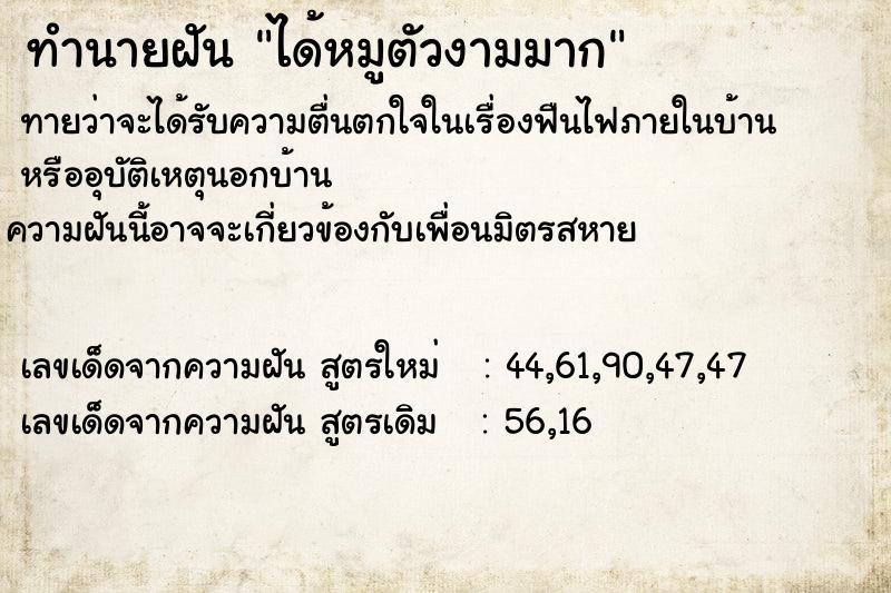 ทำนายฝัน ได้หมูตัวงามมาก