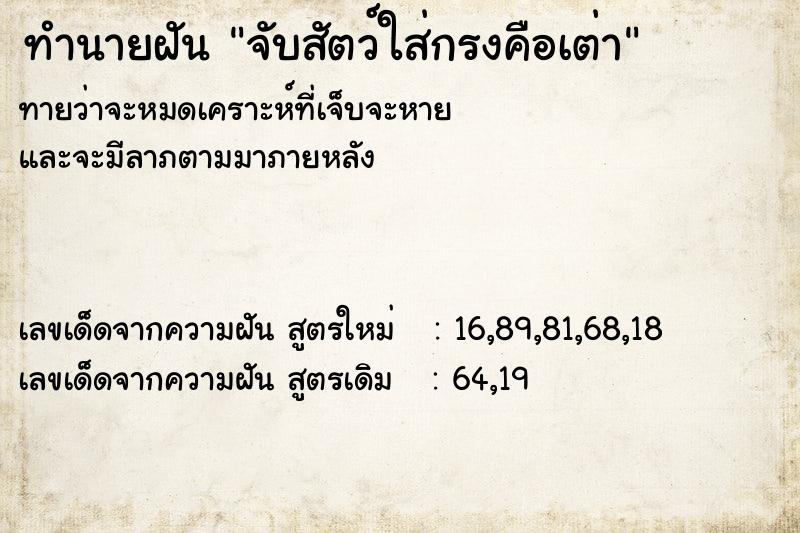 ทำนายฝันทำนายฝันจับสัตว์ใส่กรงคือเต่า